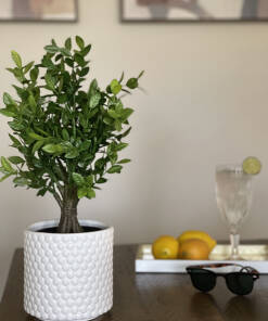 Drop-In Faux Plant System